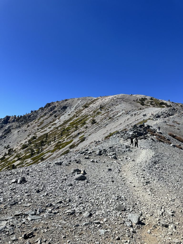 Baldy via backbone