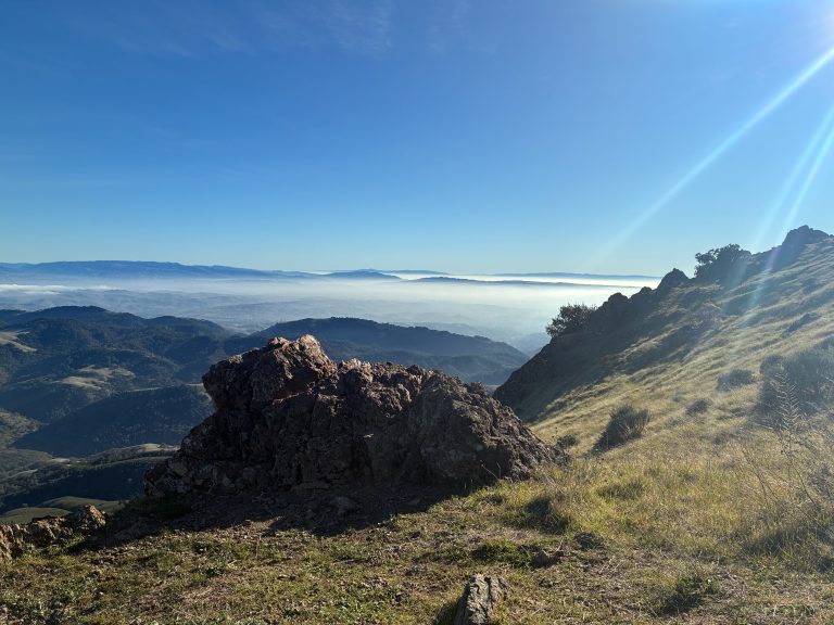 Really Tough for a 7-Mile Hike