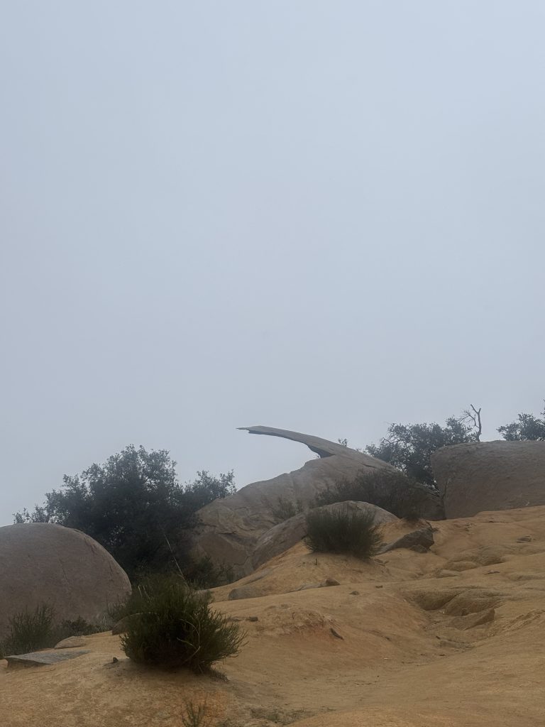 Potato Chip Rock!