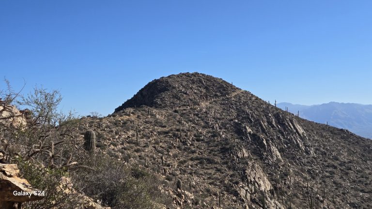 Up with the shade and down with the breeze :)