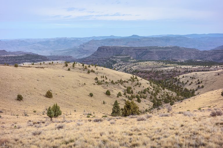 Sutton Mountain never let’s ya down.