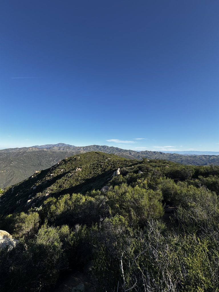 Sitton Peak Dark & Early