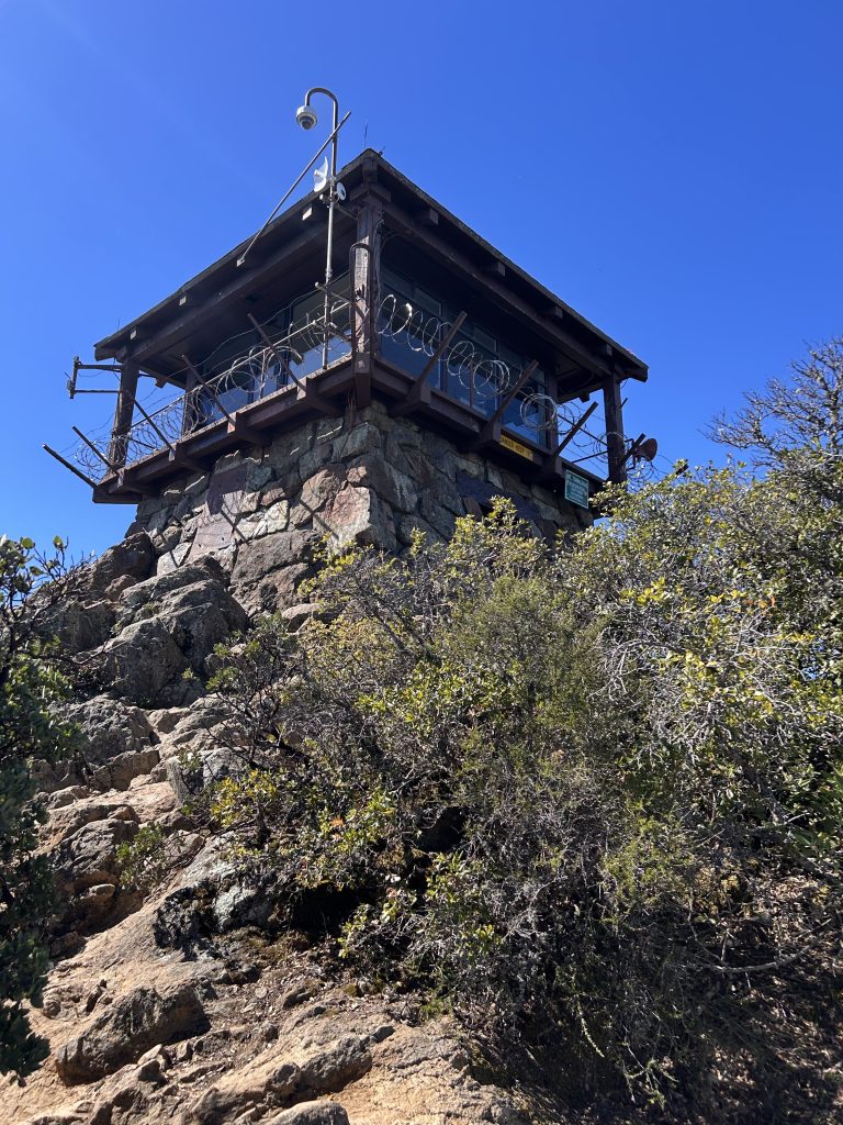 Wildlife Bonanza on Tam