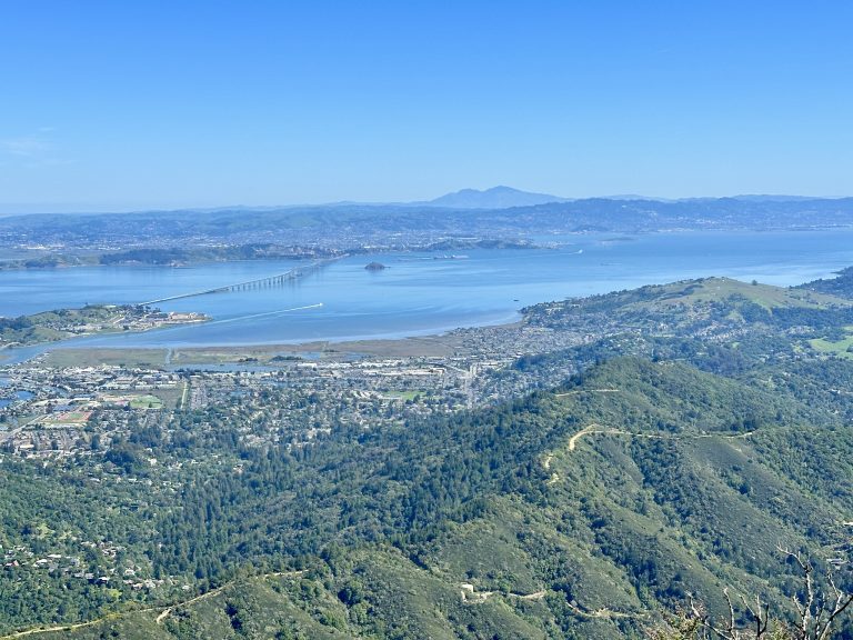 Mt. Tamalpais Majesty