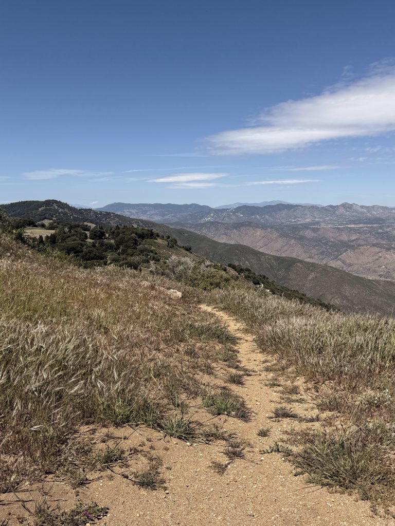 Windy Day on Volcan Mountain 4/24/26