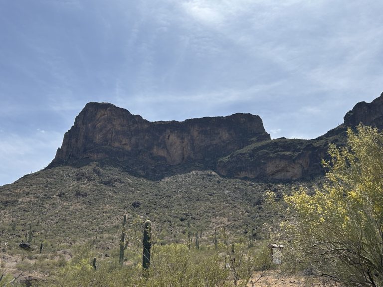 Easter Egg Hunt on Picacho