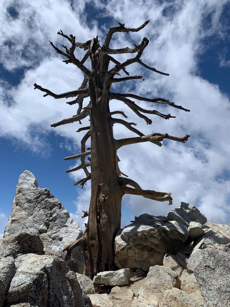 Ontario Peak