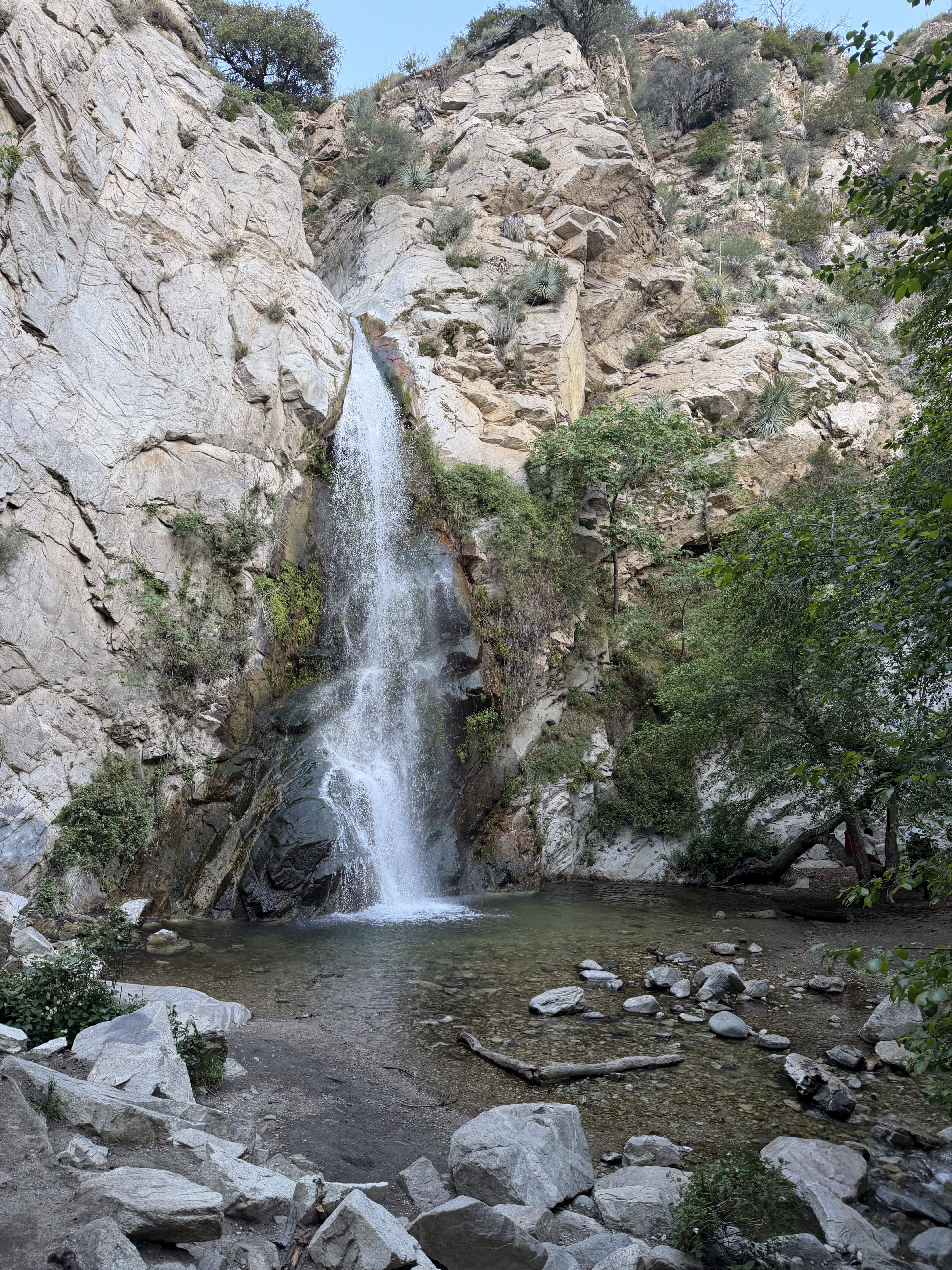 Springtime on Mount Wilson
