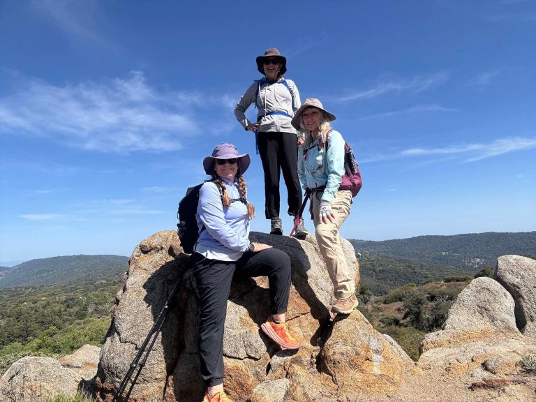 Flowers at High Point