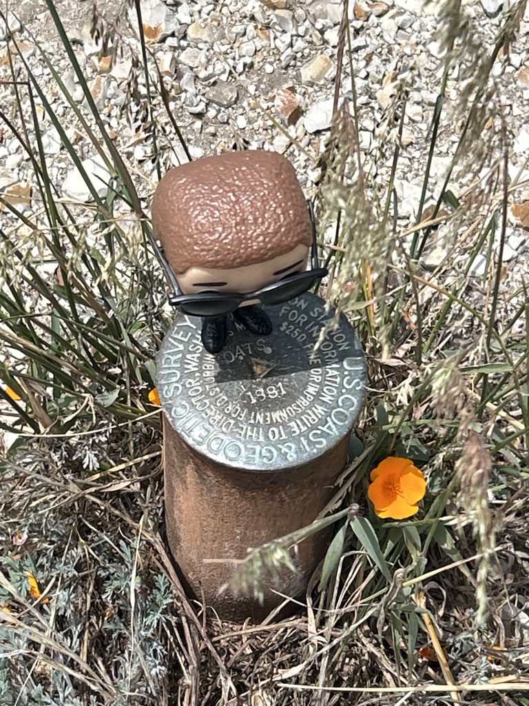 Memorial Oats