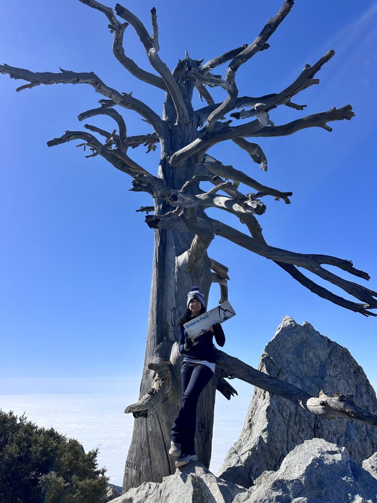 Ontario Peak #1 for today