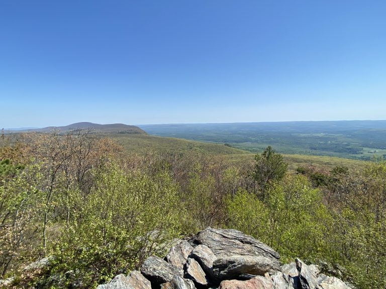 Bear Mountain