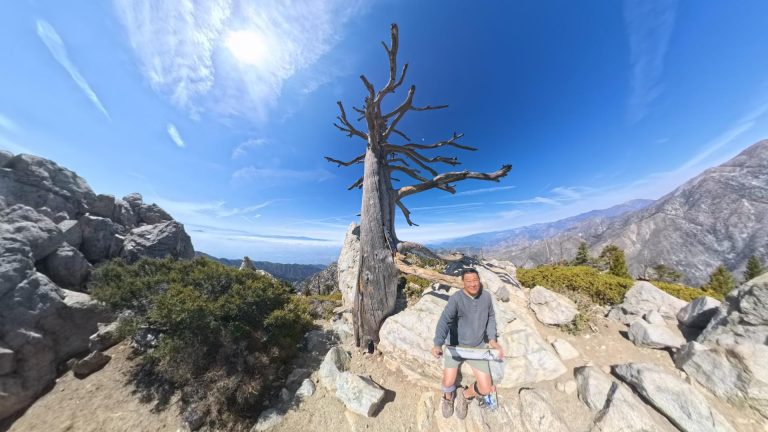 Perfect hiking conditions