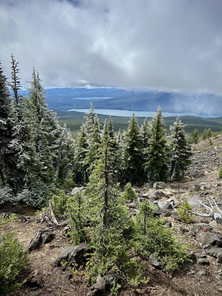 Maiden Peak with some Light Flakes
