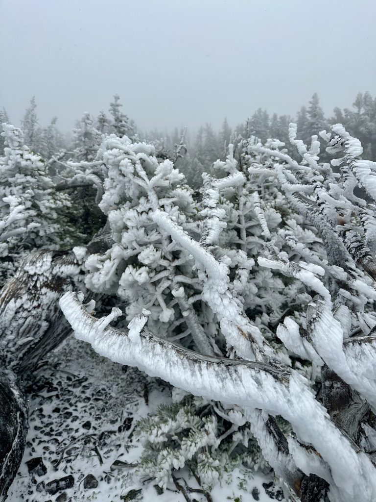 Wind, Rain, Snow and Cold