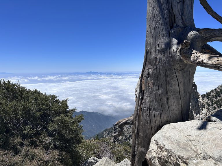 Ontario Peak – Did It!