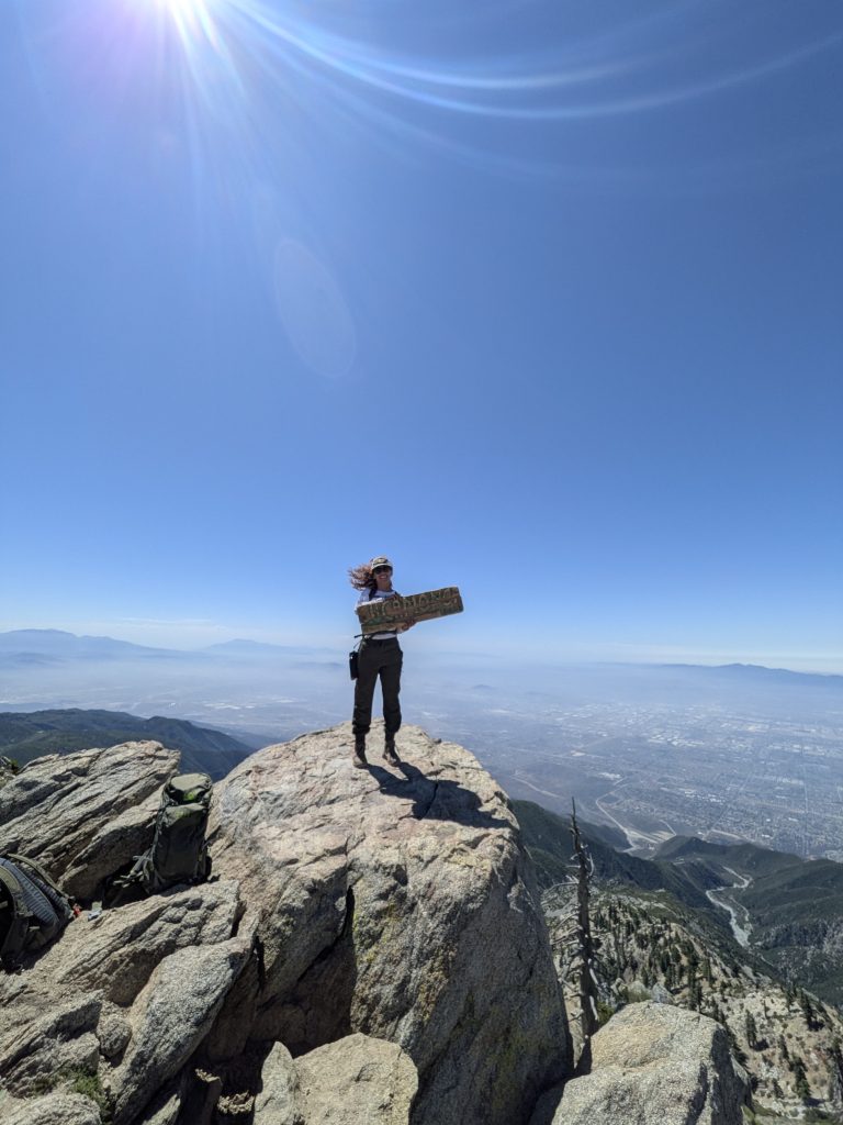 Cucamonga Peak via Icehouse Canyon and Chapman trail