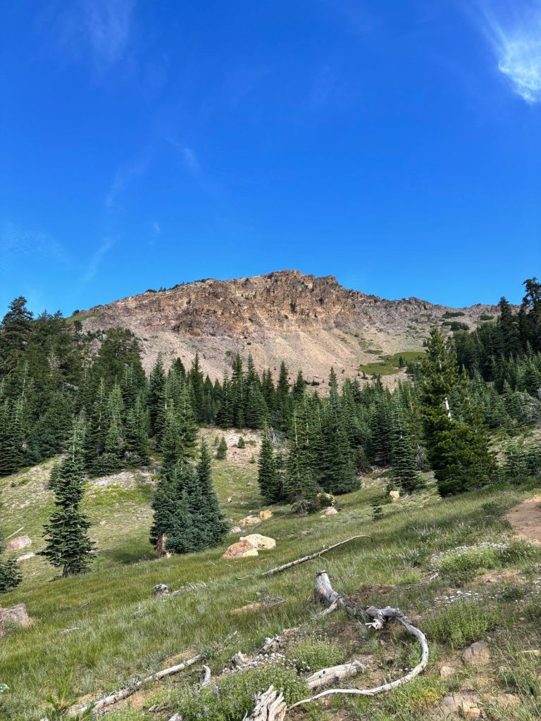 Brokeoff Mt Lassen Ntl Park