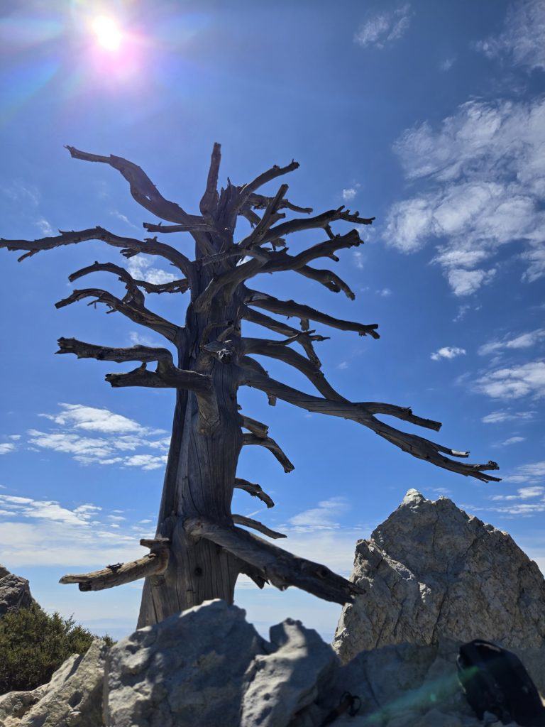 #5 SPP Challenge – Ontario Peak