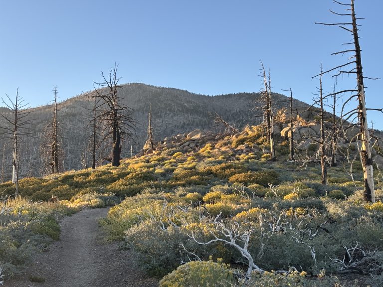 Cucamonga Peak