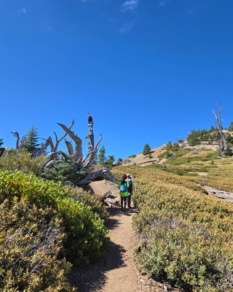 Ontario Peak